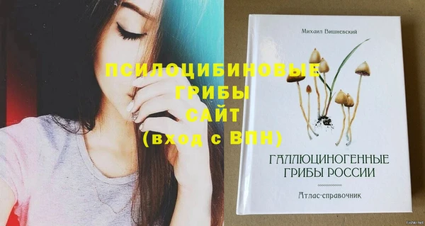 Альфа ПВП Абаза