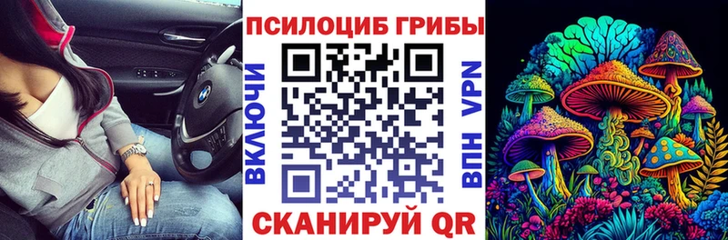 Галлюциногенные грибы Magic Shrooms  что такое   Кингисепп 